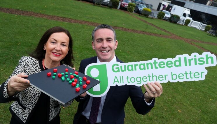 Major Shift in Irish Housing Construction Needed to Safeguard Future Sustainability of the Sector