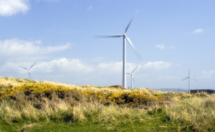 ESB and Coillte in Discussions to Deliver Renewable Energy Projects