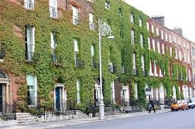 Housing Commencements Soar to Record Levels in Ireland, Predicted to Continue Momentum in 2024