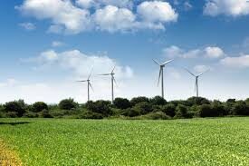 Government Approves Green Public Procurement Strategy and Action Plan