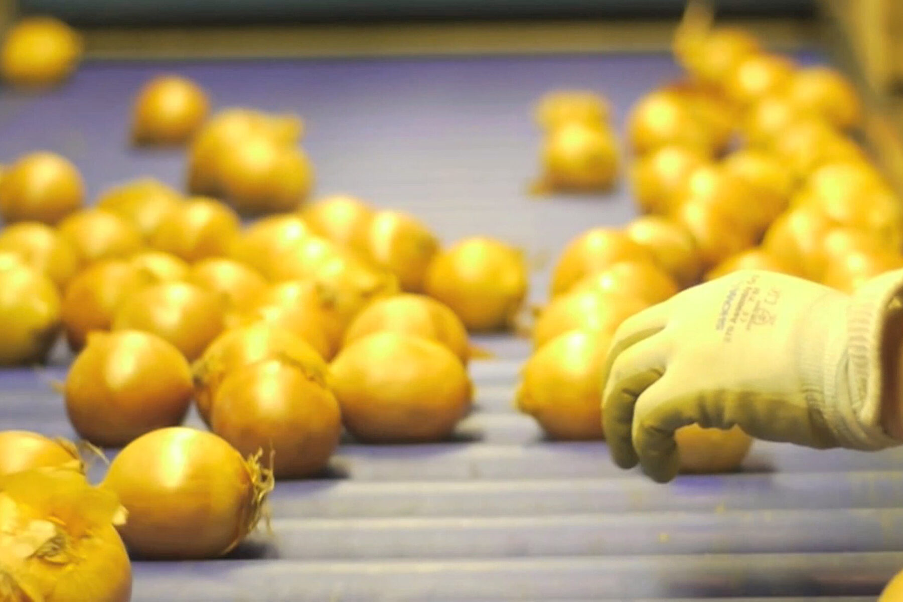 Produce World Group in Strong Position For the Future