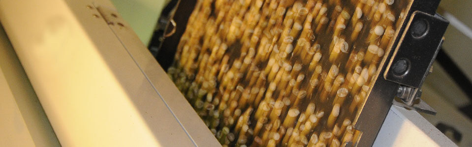 Bühler Targets Rising Defects in Rice with Optical Sorter