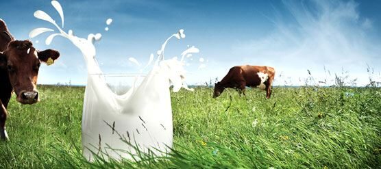 Global Growth Drives Strong Sales and Profit Performance at Arla Foods