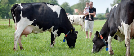 Good Year For FrieslandCampina