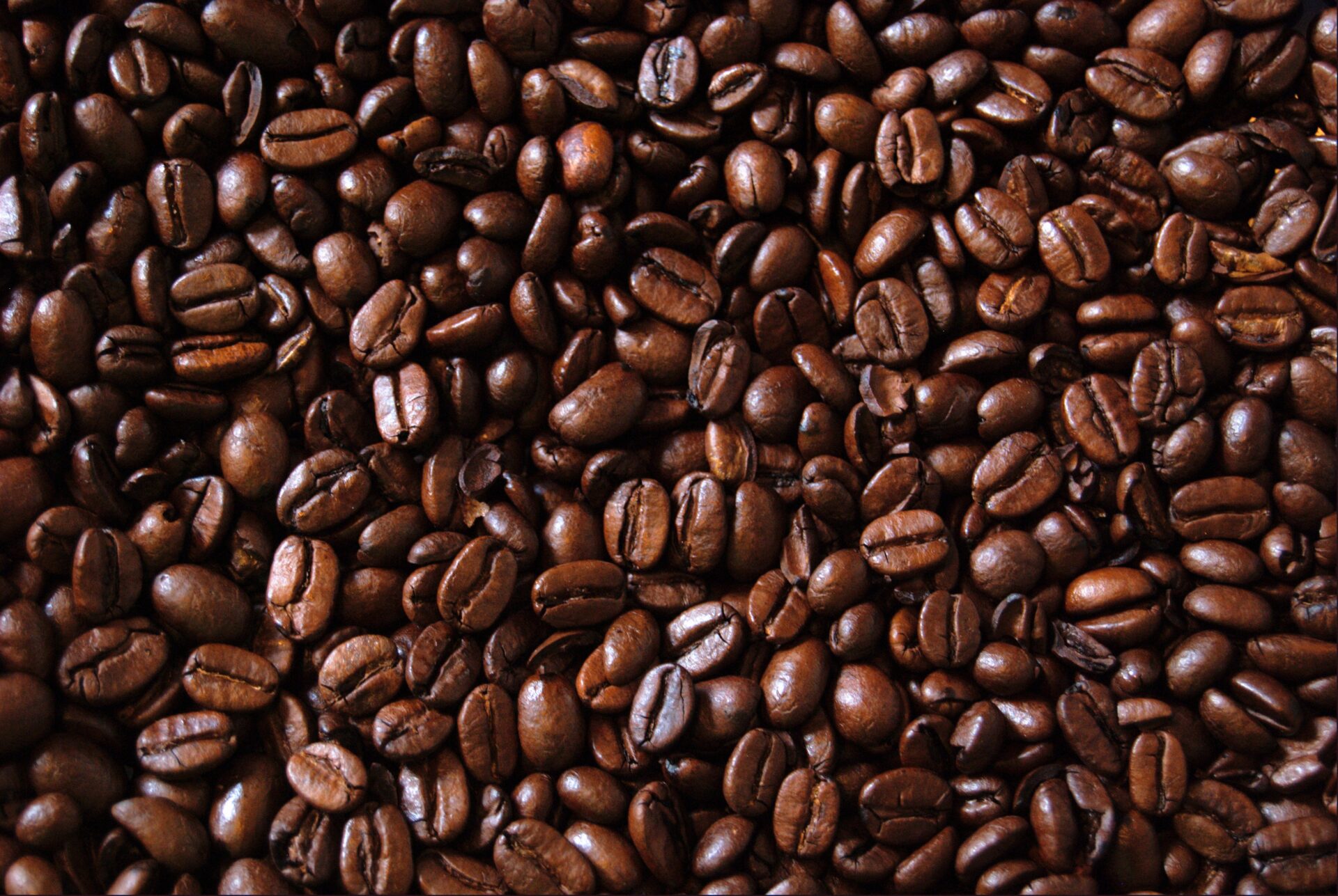 Mushroom-derived Technology Takes the Bitter out of Coffee & Chocolate