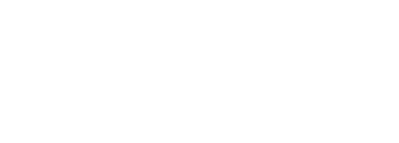 Secondary logo · raster