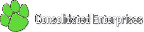 Consolidated Enterprises