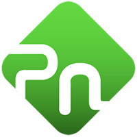 Process Networks